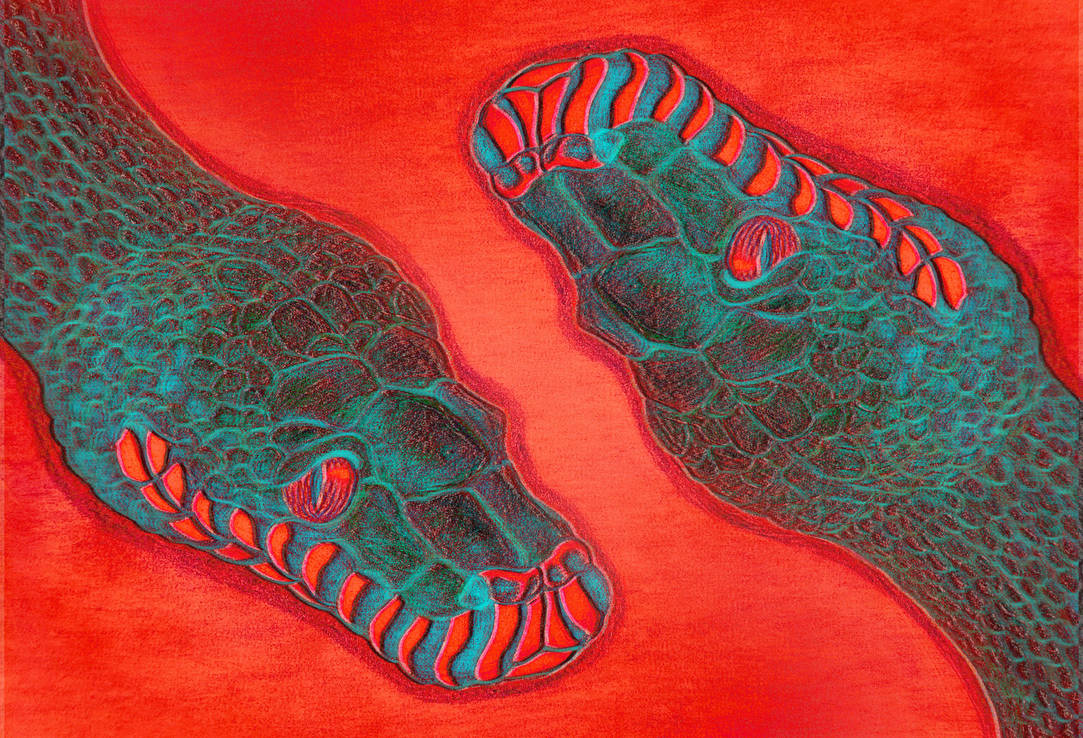 Python Eyes Human White Lipped Python (Eye strain warning!) by Horizon-Hunter on DeviantArt