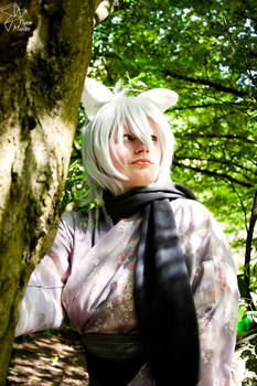 Tomoe (KamisamaKiss) cosplay