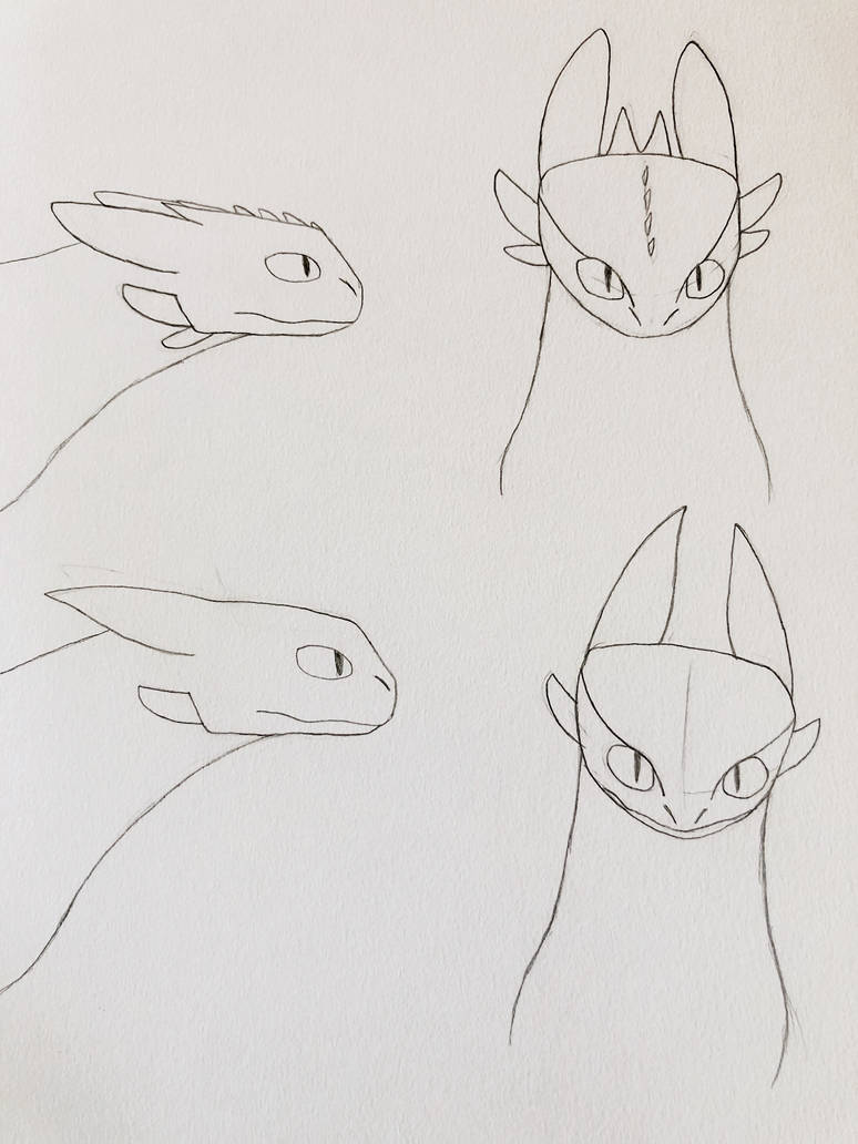 Night Fury and Light Fury Head Study by XxBlueFlarexX on DeviantArt