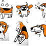 lotsa bingos!!!!