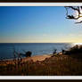 Driftwood Beach from Atop