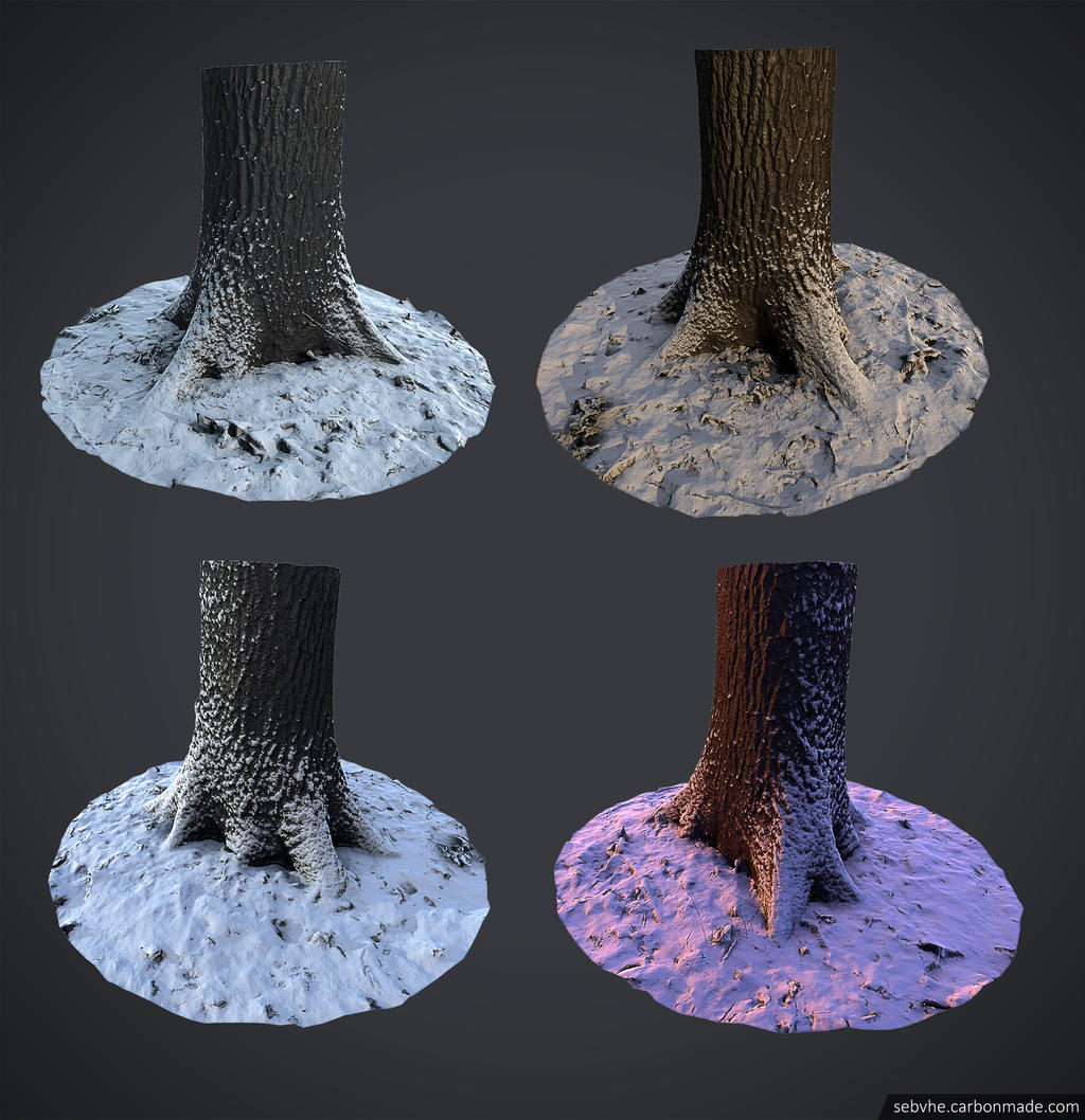 #1 Photogrammetry Tree