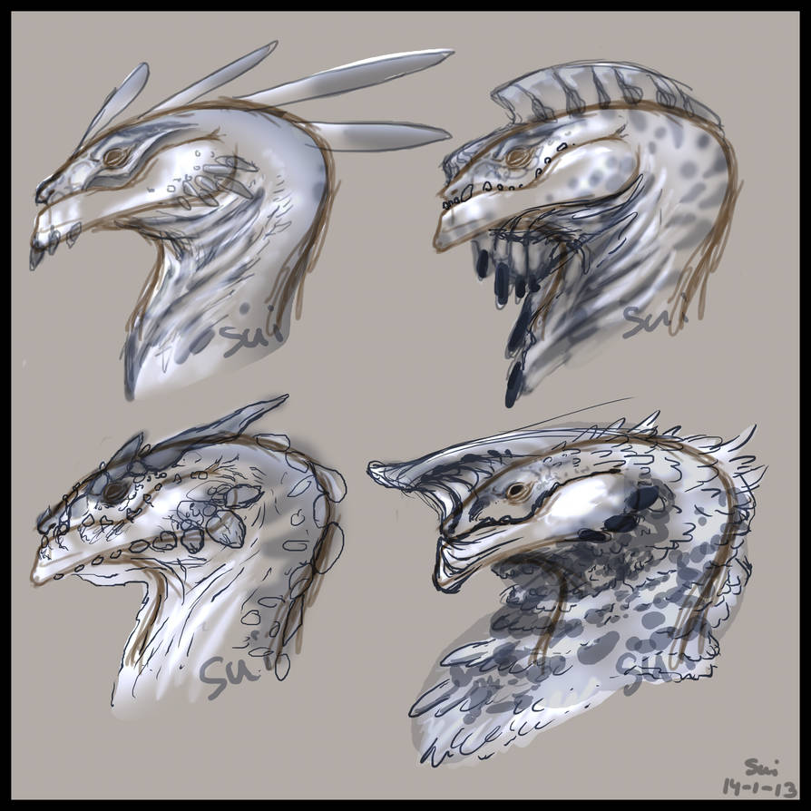 Dragon design sheet by SUIamena on DeviantArt