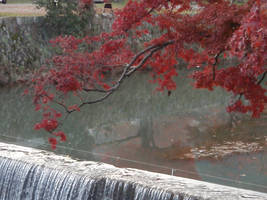 maple waterfall