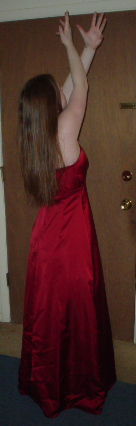 Red Dress 13 - DelightfulStock