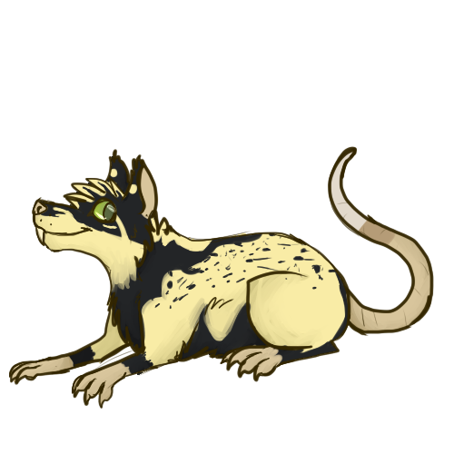 Maso ze Flighty Rat