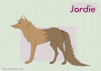 ref. sheet: Jordie