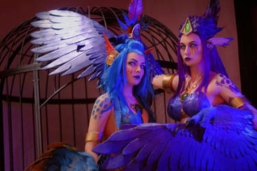 Harpies Blizzard Warcraft cosplay