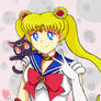 sailor moooonnnn ~