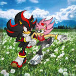 Shadow x Amy running together