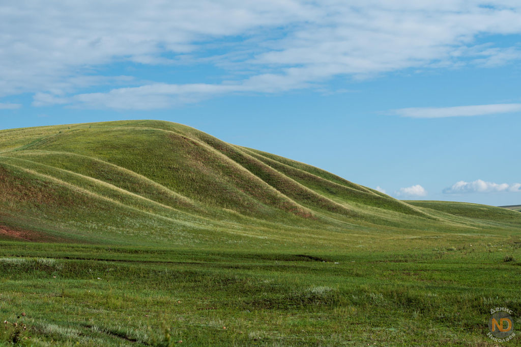 Steppe Rottgering Steppe by DeadFL on DeviantArt