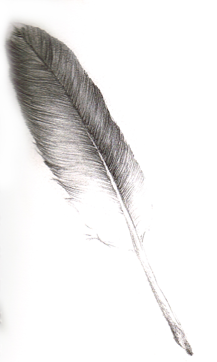 feather