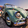 Beetle HDR