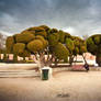 Braintrees at Retiro Park