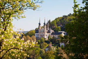 Spring in Wuerzburg