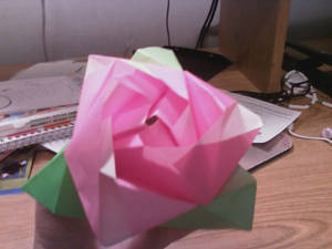 Magic Rose Box