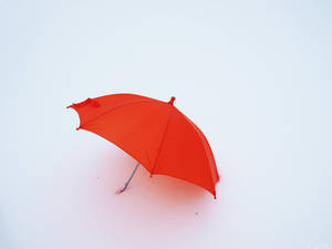 Orange Umbrella