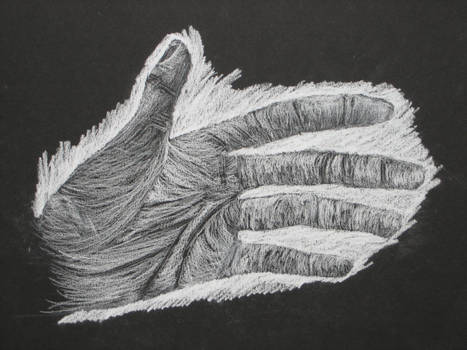 Hand in white charcoal