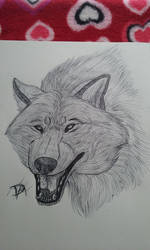 Wolf in Pen