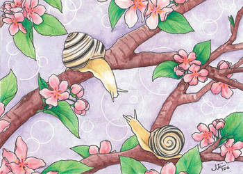 Snails and Apple Blossoms