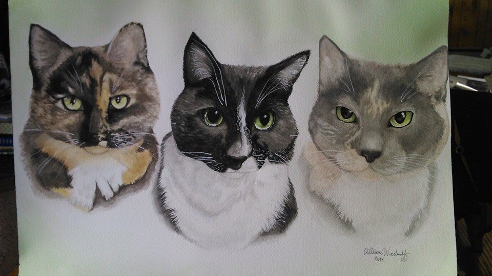 3 Cats portrait