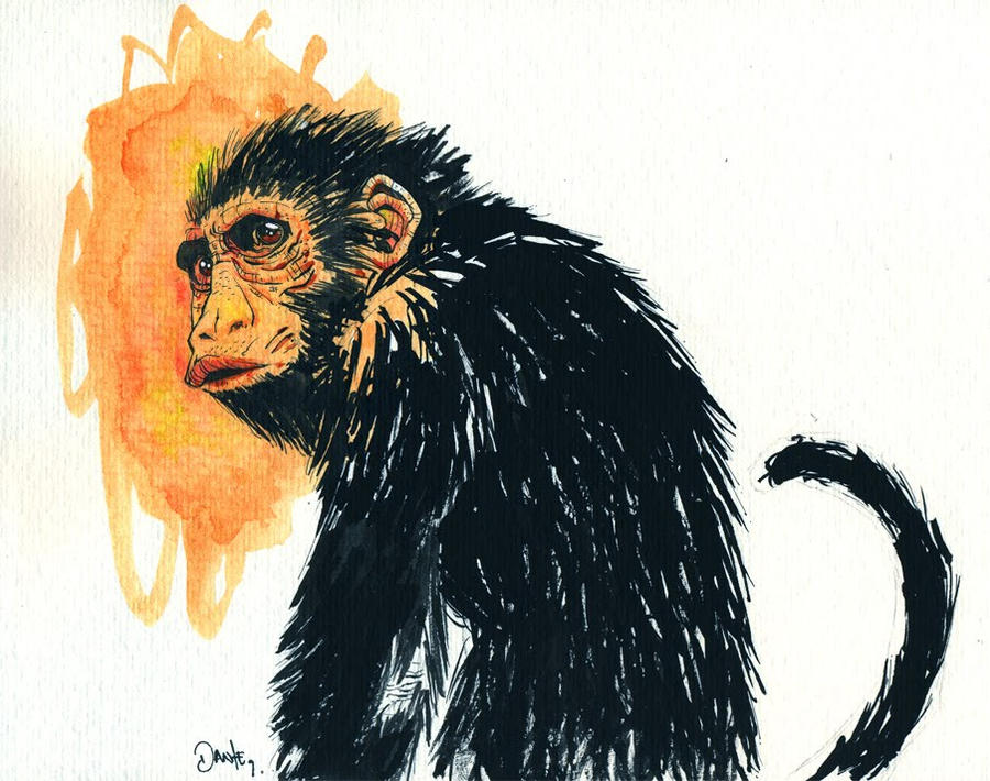 Deviantart 2007 Monkey Monkey by rafadante on DeviantArt
