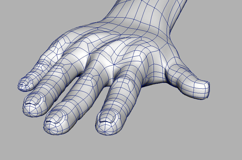 3D Hand Wireframe by Red-Paragon on DeviantArt