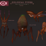 Colonial Types Concepts