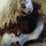 Cordie-But I Didn't Do Anything?:(