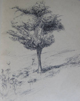 Tree Sketch 2