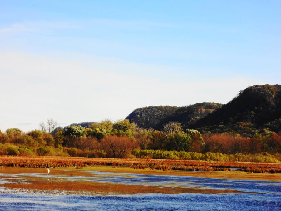 Winonan Wetland