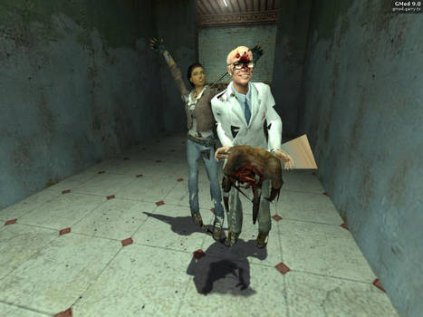 halflife 2 number2