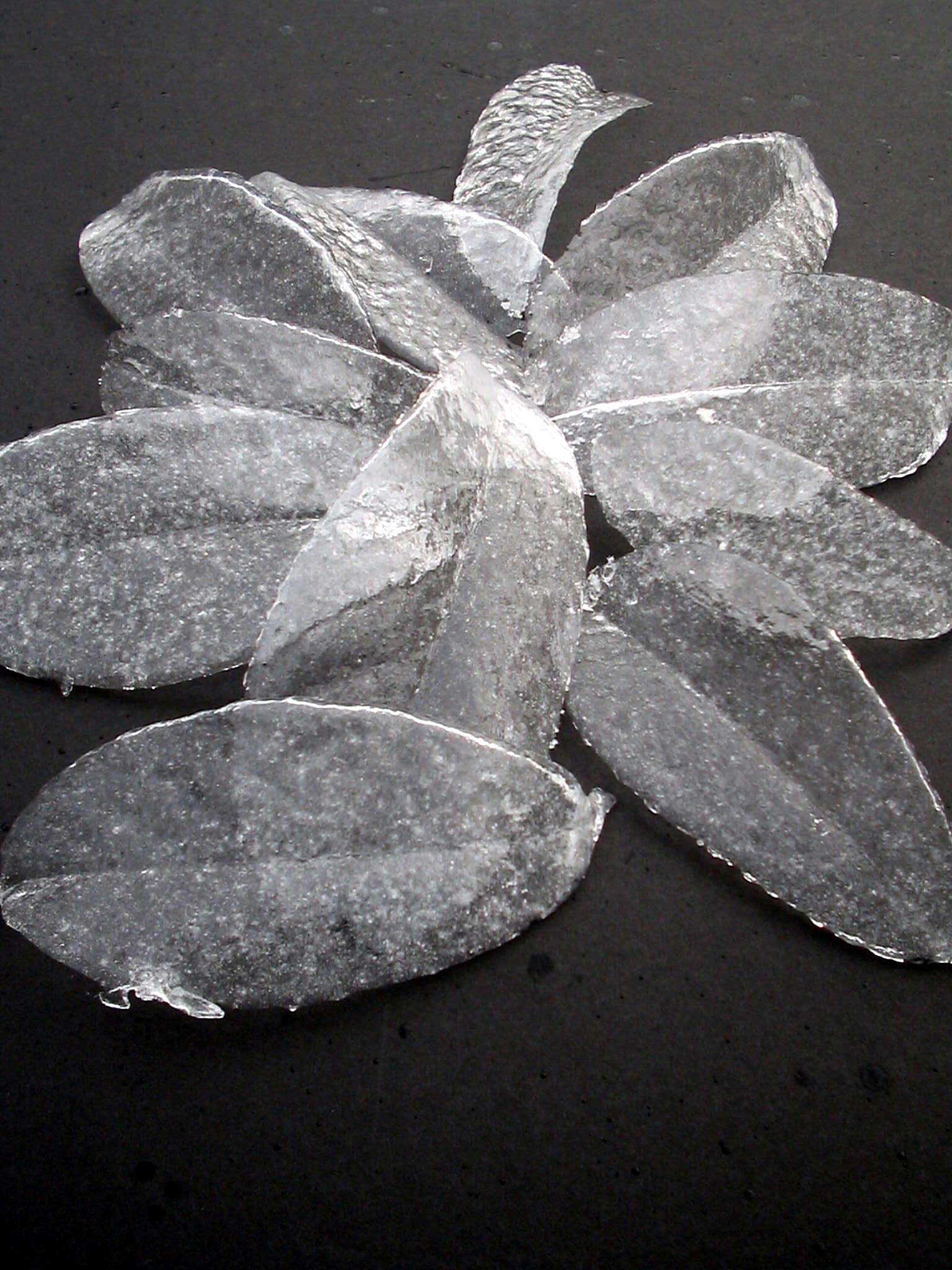 Ice Leaves 1