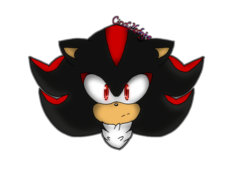 Gift- Shadow the Hedgehog