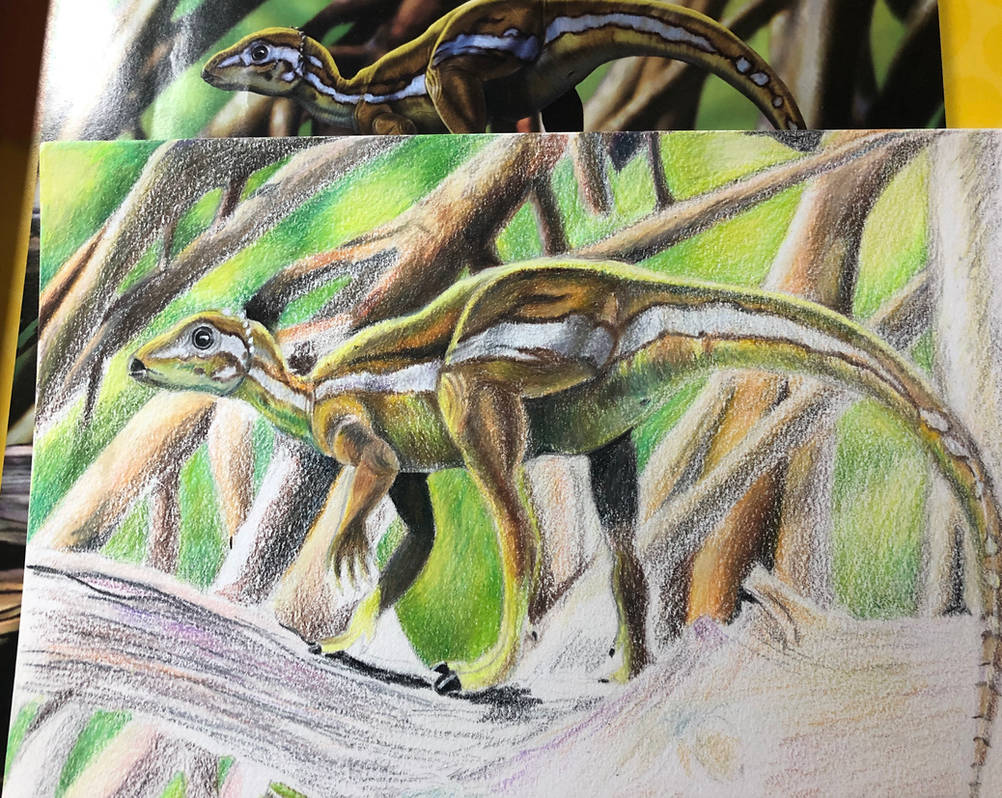Micropachycephalosaurus Hongtuyanensis Ref Draw By TheKissingHand On micropachycephalosaurus-hongtuyanensis-ref-draw-by-thekissinghand-on