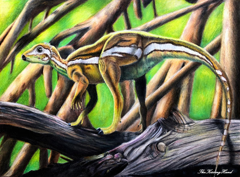 Micropachycephalosaurus Hongtuyanensis Ref Draw By TheKissingHand On micropachycephalosaurus-hongtuyanensis-ref-draw-by-thekissinghand-on