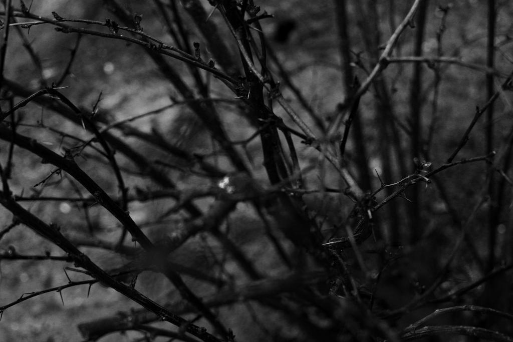 Unusual Patterns 3 by dominguez03 on DeviantArt