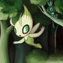 Celebi and Scatterbug