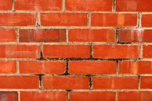 Stained Brick Wall