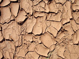 Cracked Red Clay