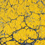 Cracked Yellow Asphalt