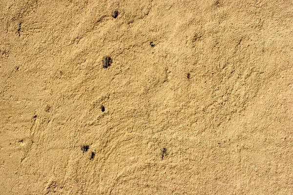 Rough Brown Stucco by GrungeTextures