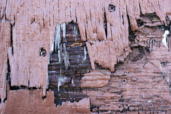Rotten Brown Wood