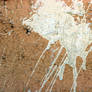 Paint Splatter on Old Stucco