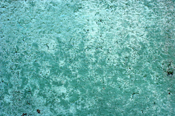 Faded Green Paint on Concrete by GrungeTextures
