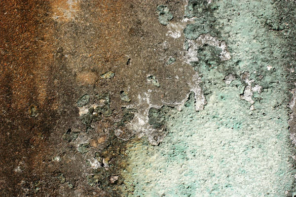 Peeling Paint on Dirty Wall by GrungeTextures