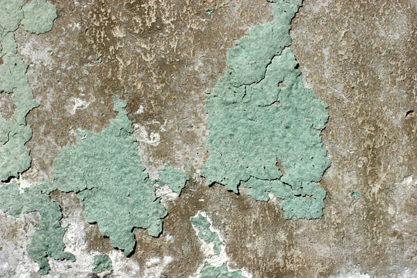 Peeling Paint Texture by GrungeTextures