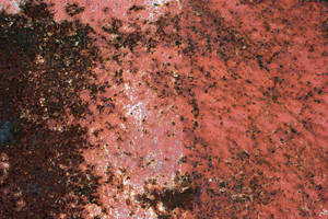 Rusted Red Metal