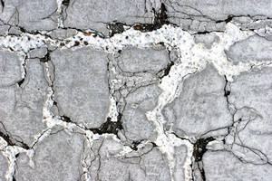 Damaged Asphalt Surface