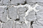 Damaged Asphalt Surface